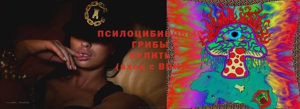 COCAINE Няндома