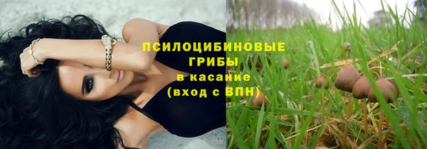 COCAINE Няндома