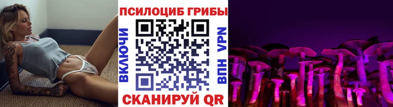 Псилоцибиновые грибы Psilocybine cubensis Игра